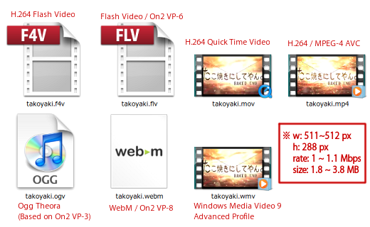 Video Formats